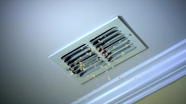 Best Ductwork Cleaning Services  in Oakwood Hls, IL
