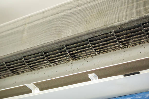 Best Affordable Air Duct Cleaning  in Oakwood Hls, IL